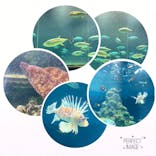 葛西臨海水族園に投稿された画像（2025/2/22）