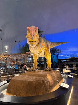 福井県立恐竜博物館に投稿された画像（2025/2/22）