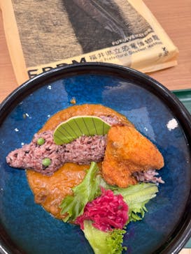 福井県立恐竜博物館に投稿された画像（2025/2/22）