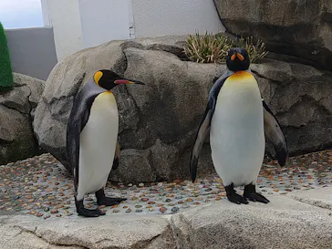 仙台うみの杜水族館に投稿された画像（2025/2/22）