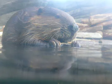仙台うみの杜水族館に投稿された画像（2025/2/22）