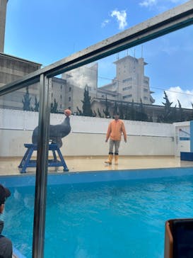 竹島水族館に投稿された画像（2025/2/22）