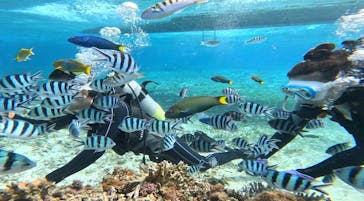 青の洞窟専門店　沖縄ダイビングショップ和に投稿された画像（2025/2/22）