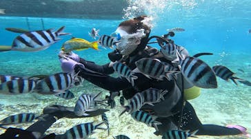 青の洞窟専門店　沖縄ダイビングショップ和に投稿された画像（2025/2/22）