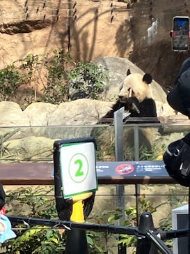 恩賜上野動物園に投稿された画像（2025/2/22）