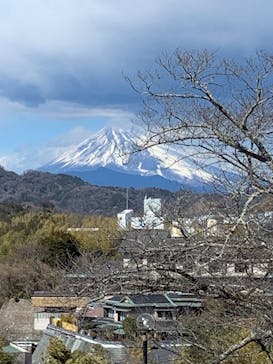 ニュー八景園に投稿された画像（2025/2/22）