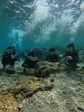 武藤潜水に投稿された画像（2025/2/22）