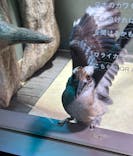 カワスイ 川崎⽔族館に投稿された画像（2025/2/22）