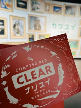 カワスイ 川崎⽔族館に投稿された画像（2025/2/22）