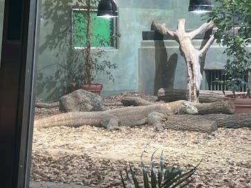 名古屋市東山動植物園に投稿された画像（2025/2/22）