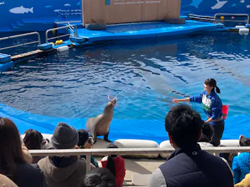 仙台うみの杜水族館に投稿された画像（2025/2/22）