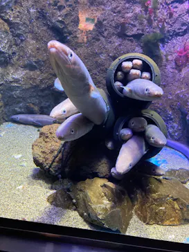仙台うみの杜水族館に投稿された画像（2025/2/22）