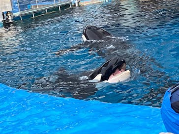 名古屋港水族館に投稿された画像（2025/2/22）