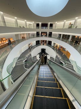 福井県立恐竜博物館に投稿された画像（2025/2/22）