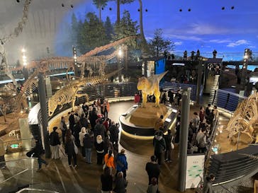 福井県立恐竜博物館に投稿された画像（2025/2/22）