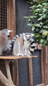 神戸どうぶつ王国に投稿された画像（2025/2/22）