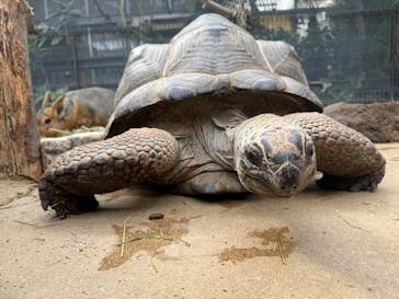 神戸どうぶつ王国に投稿された画像（2025/2/22）