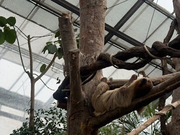 神戸どうぶつ王国に投稿された画像（2025/2/22）