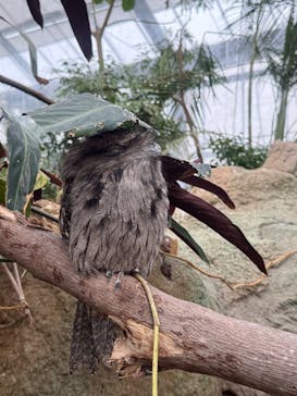 神戸どうぶつ王国に投稿された画像（2025/2/22）