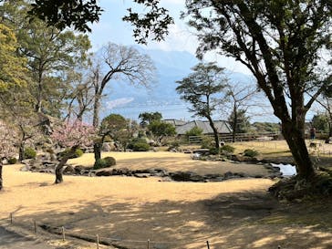 仙巌園に投稿された画像（2025/2/22）