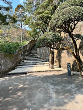 仙巌園に投稿された画像（2025/2/22）