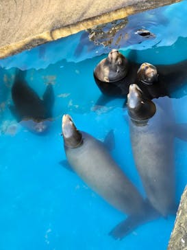 名古屋市東山動植物園に投稿された画像（2025/2/22）