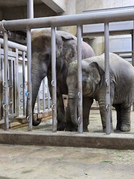 名古屋市東山動植物園に投稿された画像（2025/2/22）