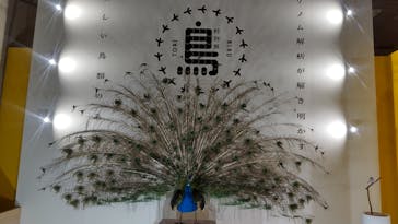 特別展「鳥 ～ゲノム解析が解き明かす新しい鳥類の系統～」国立科学博物館に投稿された画像（2025/2/22）