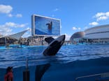 名古屋港水族館に投稿された画像（2025/2/22）