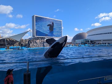 名古屋港水族館に投稿された画像（2025/2/22）