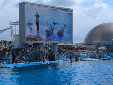 名古屋港水族館に投稿された画像（2025/2/22）