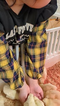 アニタッチ 東京ドームシティに投稿された画像（2025/2/22）