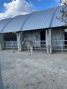 霞ケ浦 どうぶつとみんなのいえに投稿された画像（2025/2/22）