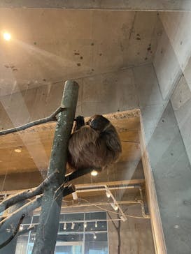 霞ケ浦 どうぶつとみんなのいえに投稿された画像（2025/2/22）