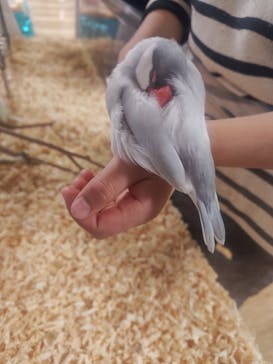 いきもの探検隊湘南に投稿された画像（2025/2/22）