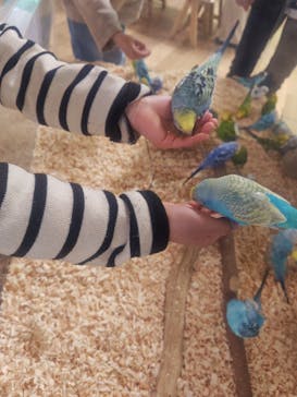 いきもの探検隊湘南に投稿された画像（2025/2/22）