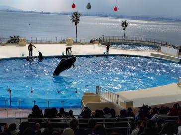 マリンワールド海の中道に投稿された画像（2025/2/22）