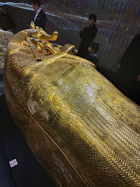MYSTERY OF TUTANKHAMEN 体感型古代エジプト展に投稿された画像（2025/2/22）