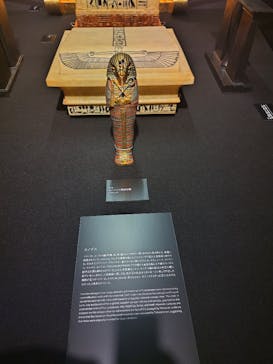 MYSTERY OF TUTANKHAMEN 体感型古代エジプト展に投稿された画像（2025/2/22）