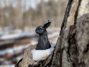 ジャイロライドパークに投稿された画像（2025/2/22）