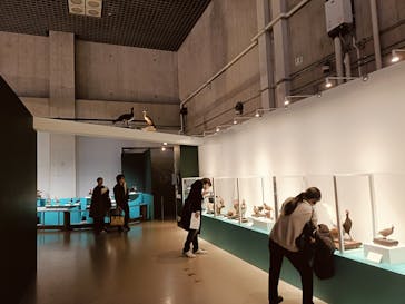 特別展「鳥 ～ゲノム解析が解き明かす新しい鳥類の系統～」国立科学博物館に投稿された画像（2025/2/22）