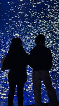 大分マリーンパレス水族館 「うみたまご」に投稿された画像（2025/2/22）