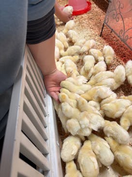 アニタッチ 東京ドームシティに投稿された画像（2025/2/22）