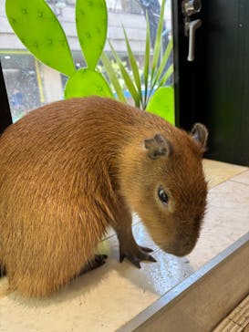 アニタッチ 東京ドームシティに投稿された画像（2025/2/22）