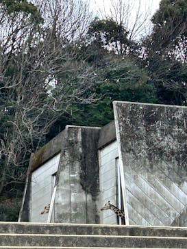 名古屋市東山動植物園に投稿された画像（2025/2/22）