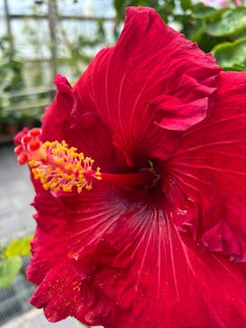 名古屋市東山動植物園に投稿された画像（2025/2/22）