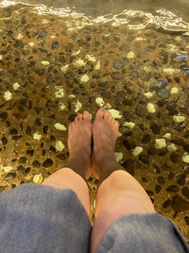 箱根湯本温泉 天成園に投稿された画像（2025/2/22）