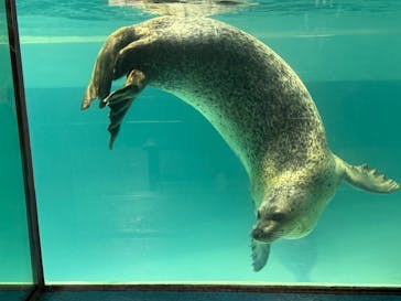 下田海中水族館に投稿された画像（2025/2/22）