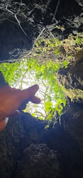 CAVE OKINAWAに投稿された画像（2025/2/22）