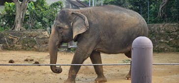 沖縄こどもの国に投稿された画像（2025/2/22）